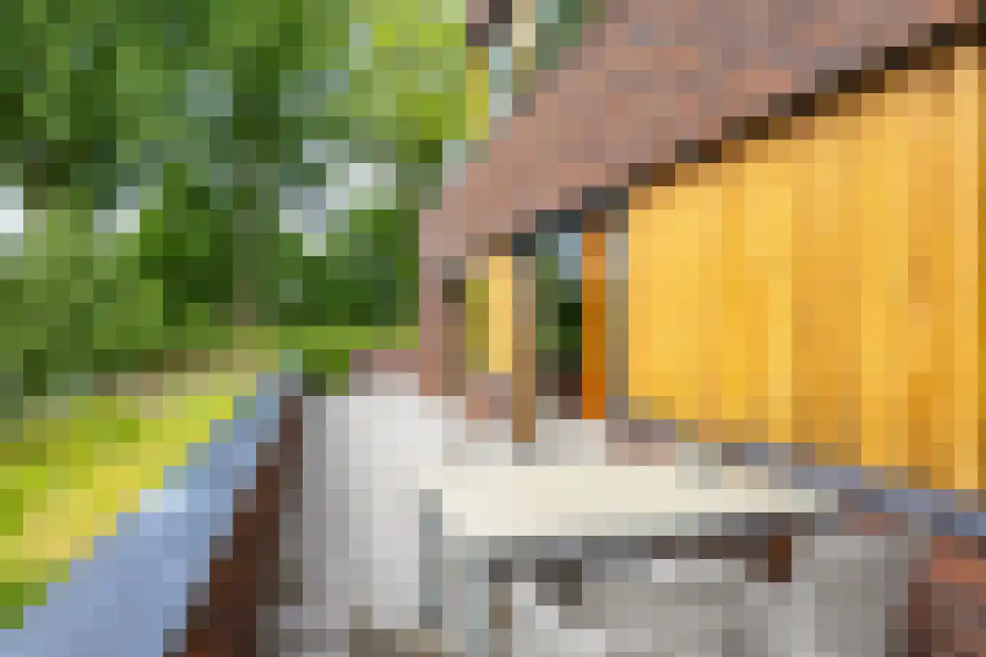 Lepelaar 102 Groningen thumbnail 6