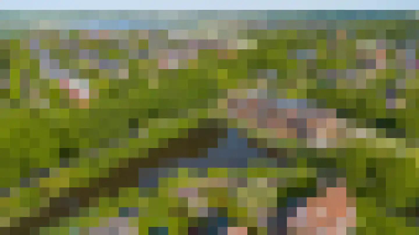 Lepelaar 102 Groningen thumbnail 7