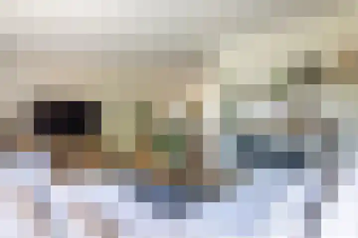 Lepelaar 12 Rijssen thumbnail 10