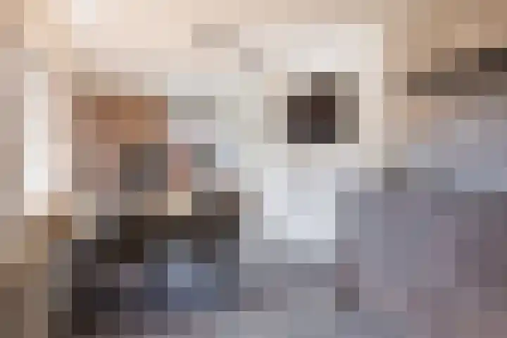 Lepelaar 12 Rijssen thumbnail 17