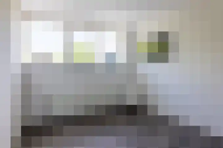 Lepelaar 12 Rijssen thumbnail 30