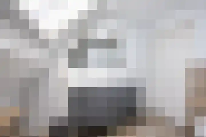 Lepelaar 12 Rijssen thumbnail 34