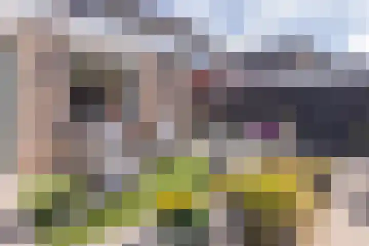 Lepelaar 12 Rijssen thumbnail 46