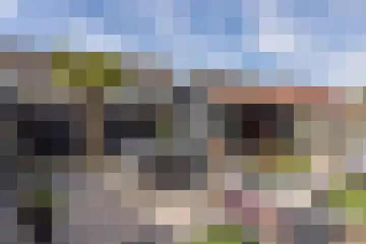 Lepelaar 12 Rijssen thumbnail 50