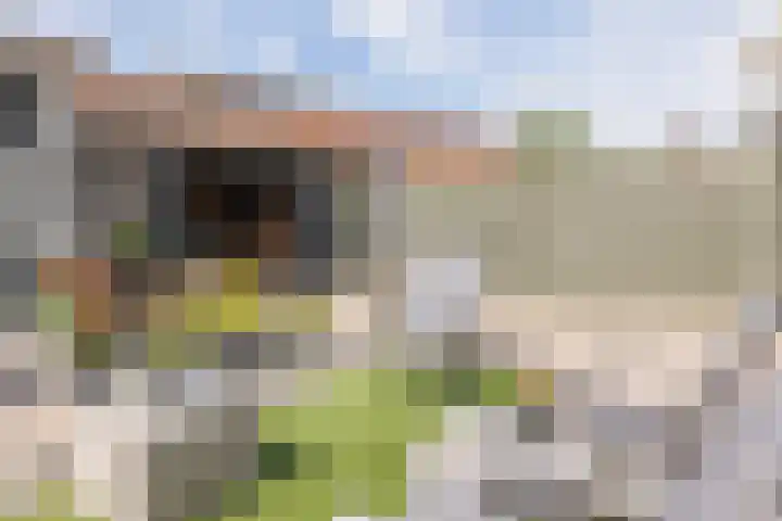Lepelaar 12 Rijssen thumbnail 51