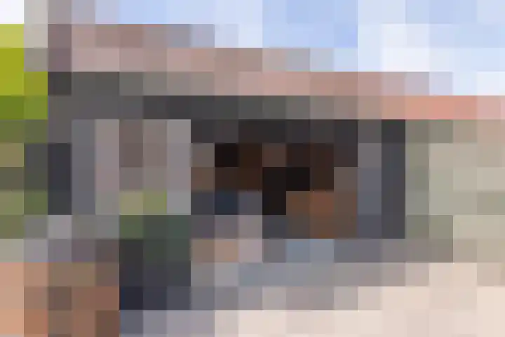 Lepelaar 12 Rijssen thumbnail 52