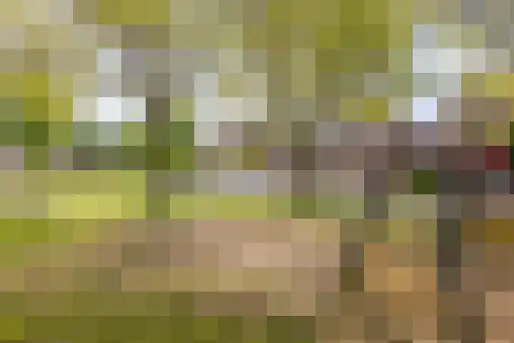 Lepelaar 12 Rijssen thumbnail 58