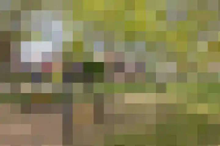 Lepelaar 12 Rijssen thumbnail 59