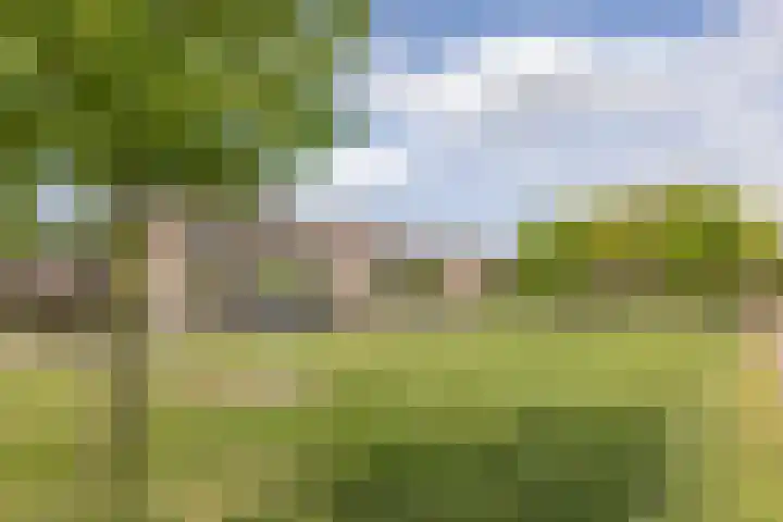 Lepelaar 12 Rijssen thumbnail 61
