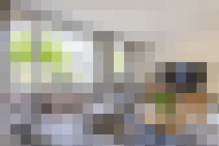 Lepelaar 12 Rijssen thumbnail 8