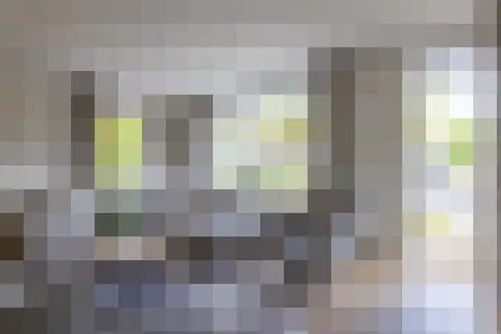 Lepelaar 12 Rijssen thumbnail 9
