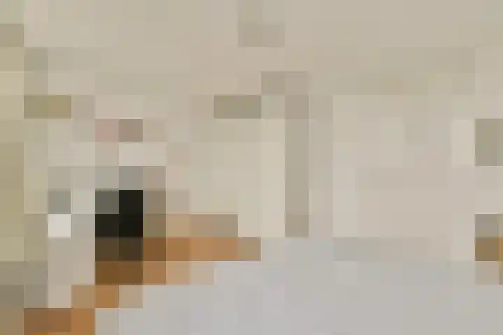 Lepelaar 14 Ouderkerk aan de Amstel thumbnail 16