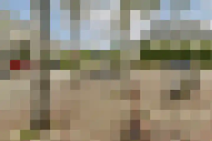 Lepelaar 14 Ouderkerk aan de Amstel thumbnail 21