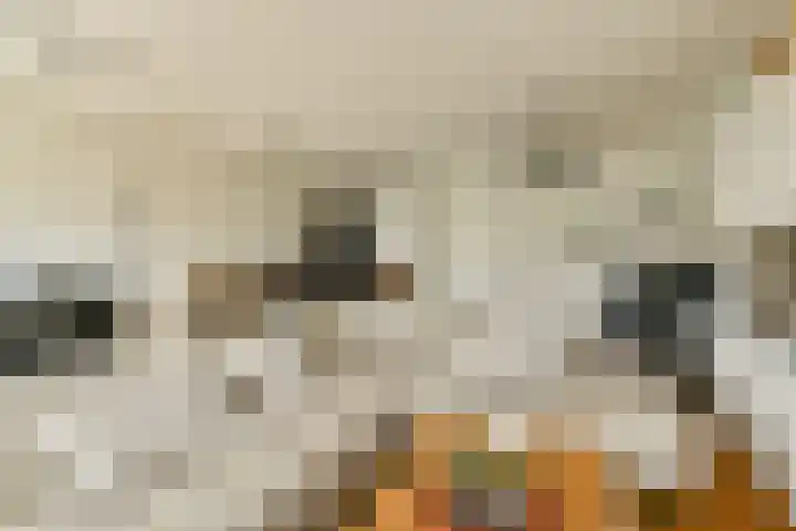 Lepelaar 14 Ouderkerk aan de Amstel thumbnail 4