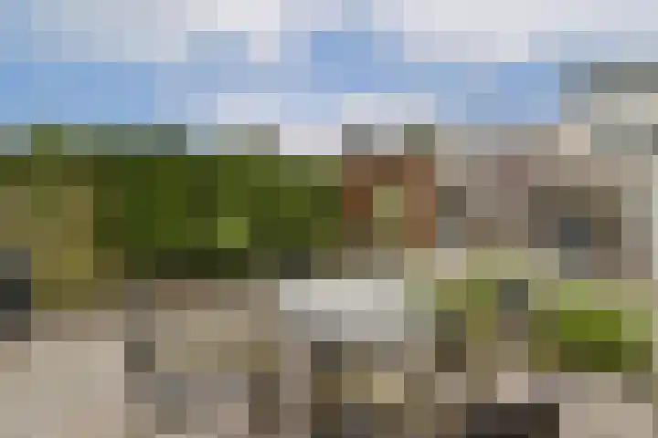 Lepelaar 14 Ouderkerk aan de Amstel thumbnail 6