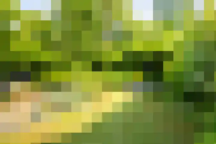 Lepelaar 15 Leusden thumbnail 11