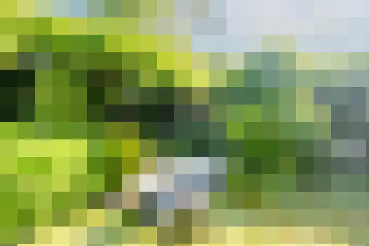 Lepelaar 15 Leusden thumbnail 13