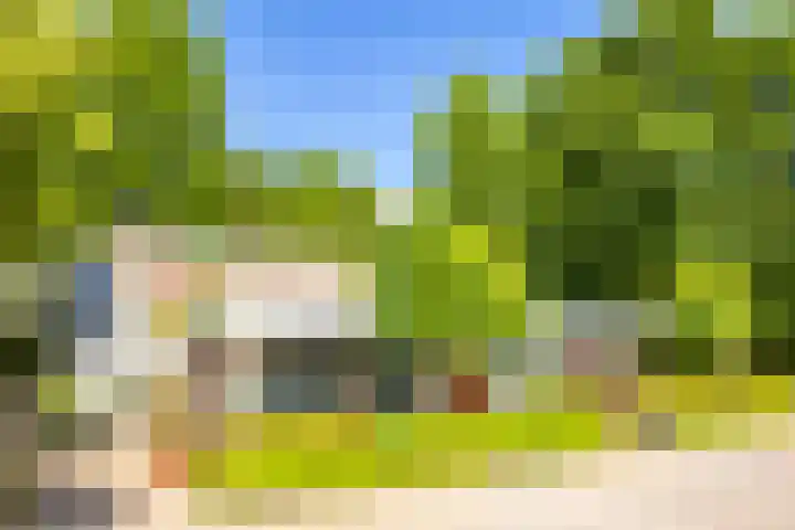 Lepelaar 15 Leusden thumbnail 40