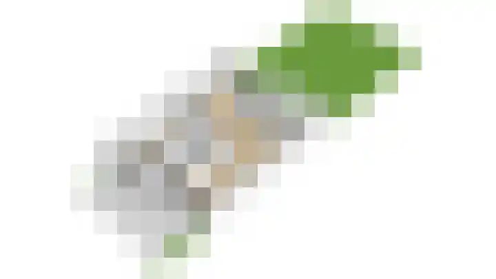 Lepelaar 15 Leusden thumbnail 43
