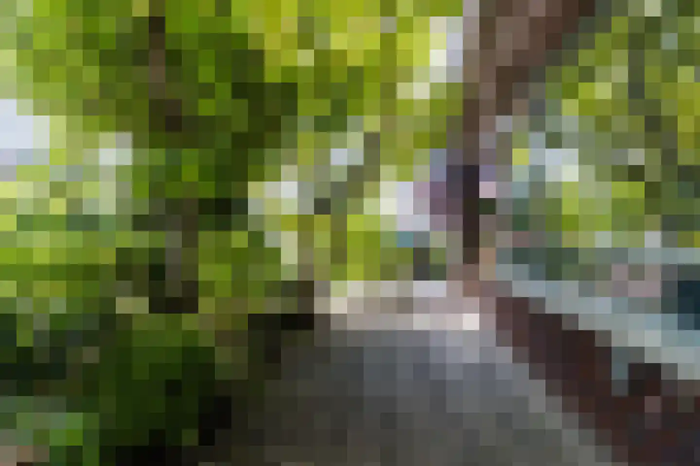 Lepelaar 15 Sassenheim thumbnail 10