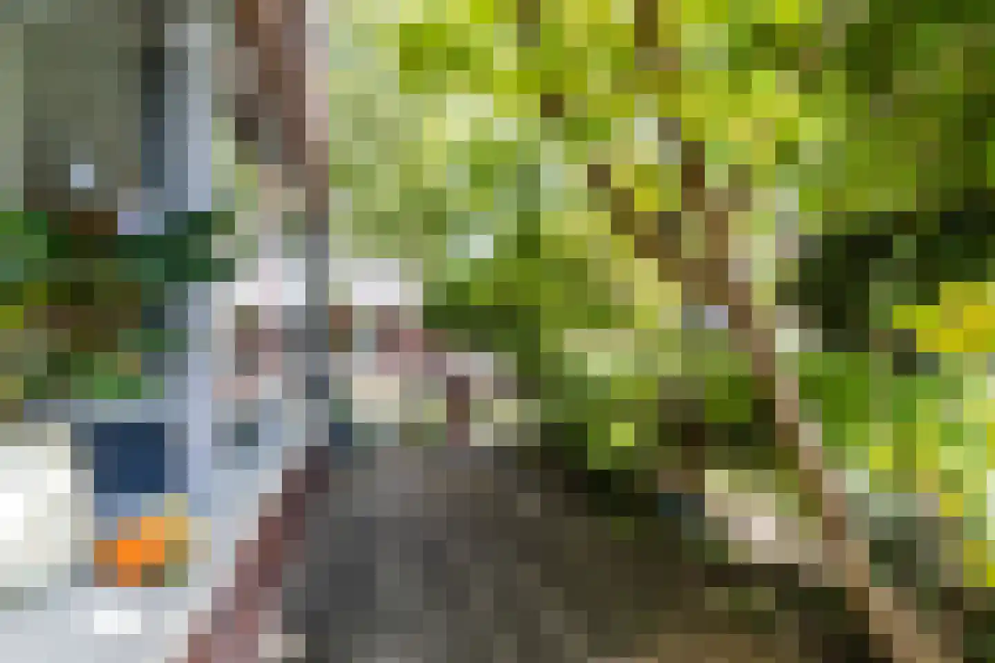 Lepelaar 15 Sassenheim thumbnail 12