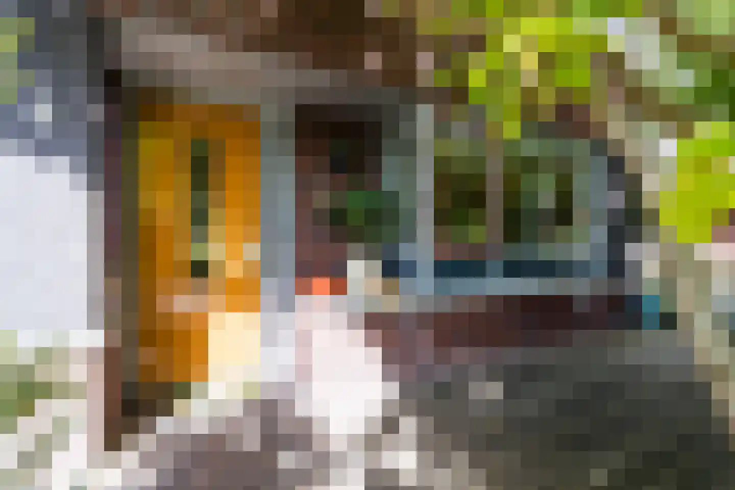 Lepelaar 15 Sassenheim thumbnail 13