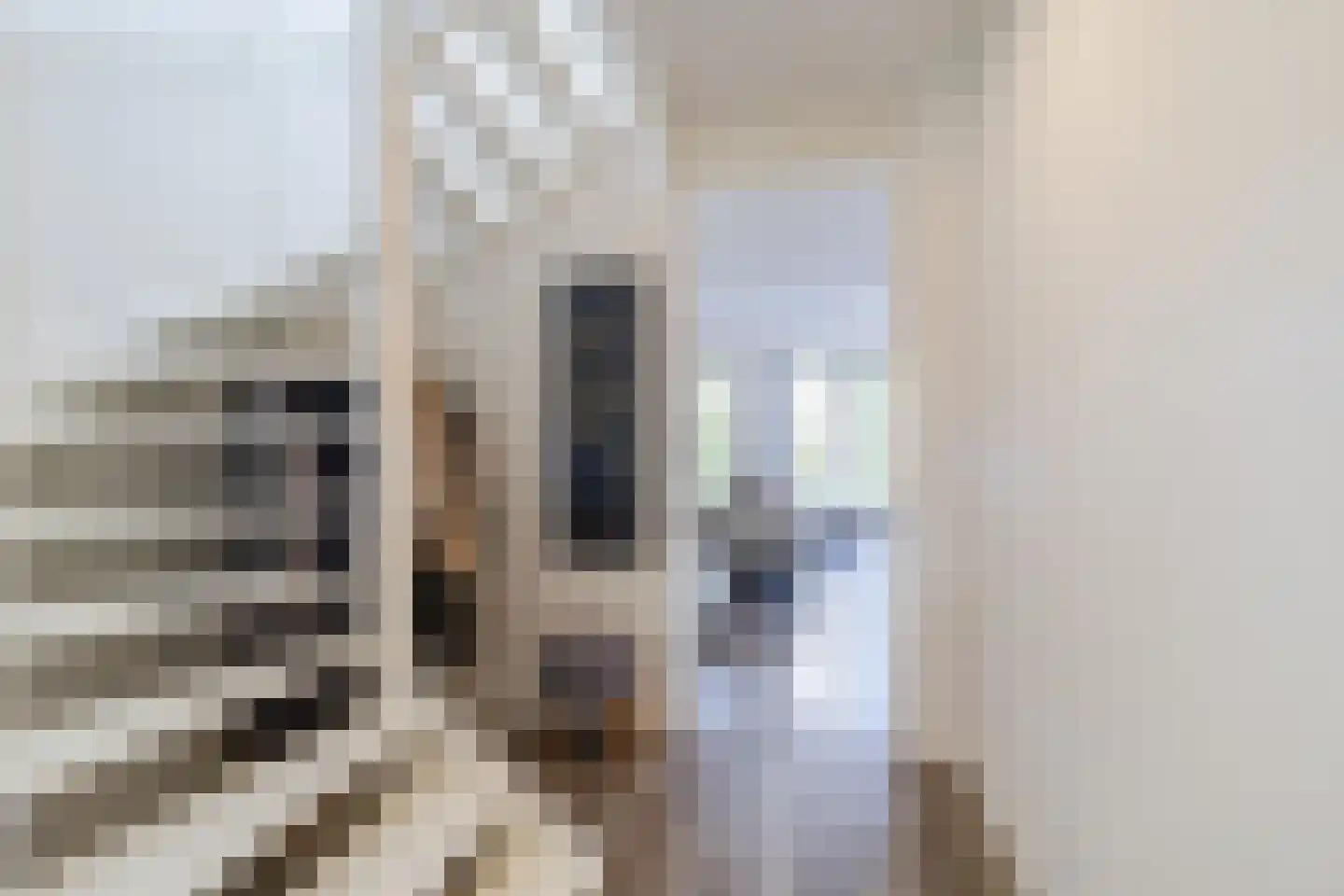 Lepelaar 15 Sassenheim thumbnail 14
