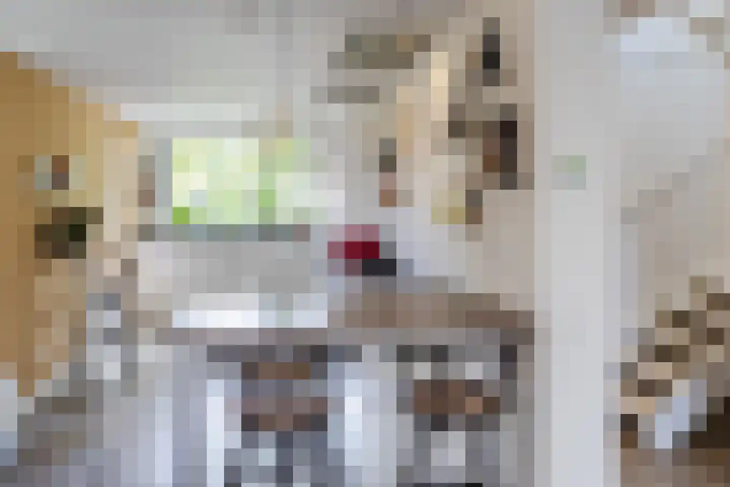 Lepelaar 15 Sassenheim thumbnail 34