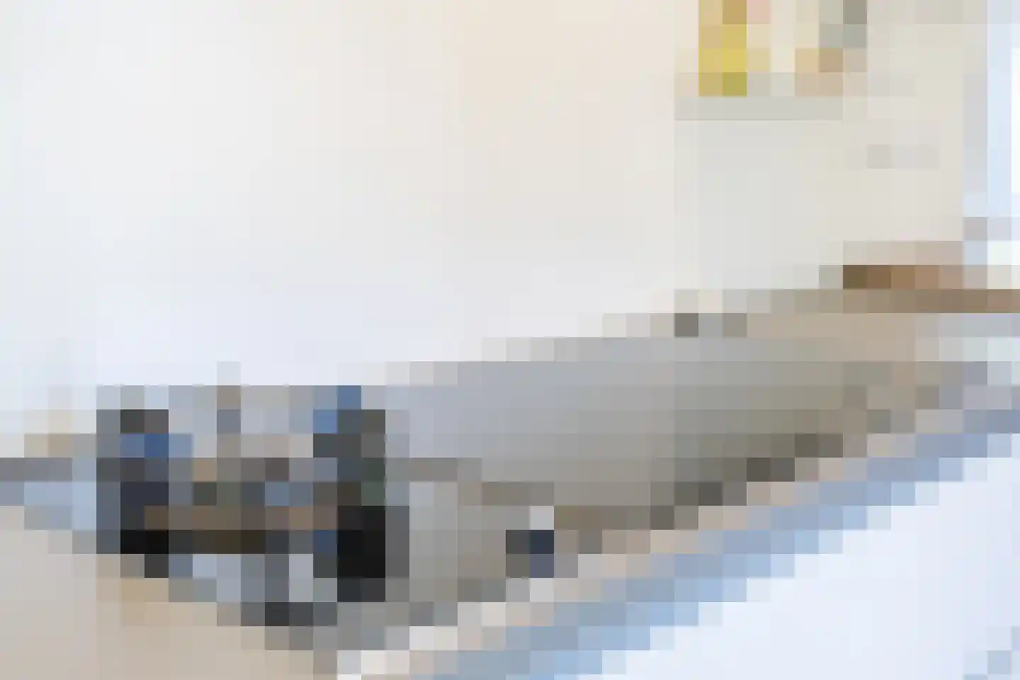 Lepelaar 15 Sassenheim thumbnail 39