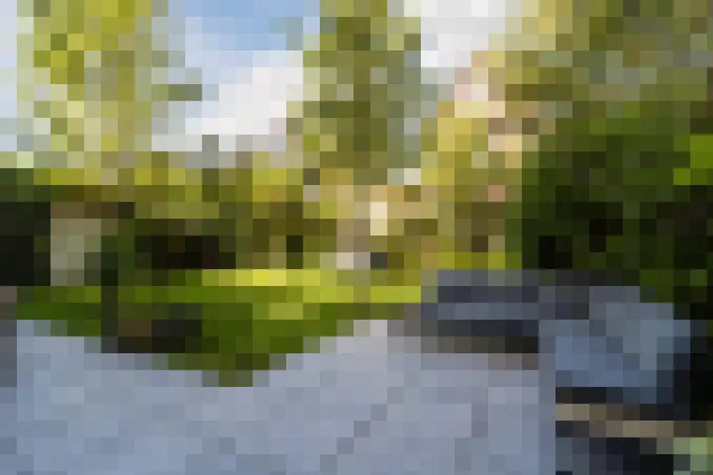 Lepelaar 15 Sassenheim thumbnail 4