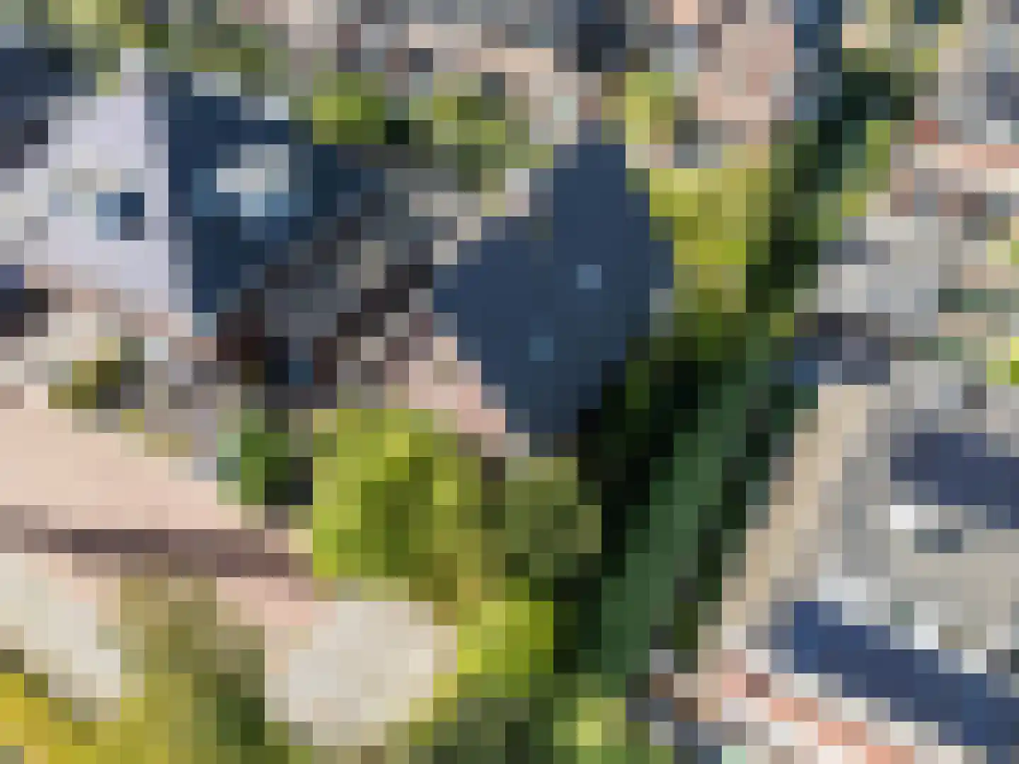 Lepelaar 15 Sassenheim thumbnail 5