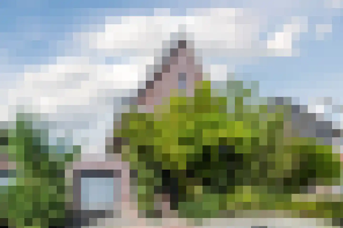 Lepelaar 15 Sassenheim thumbnail 6