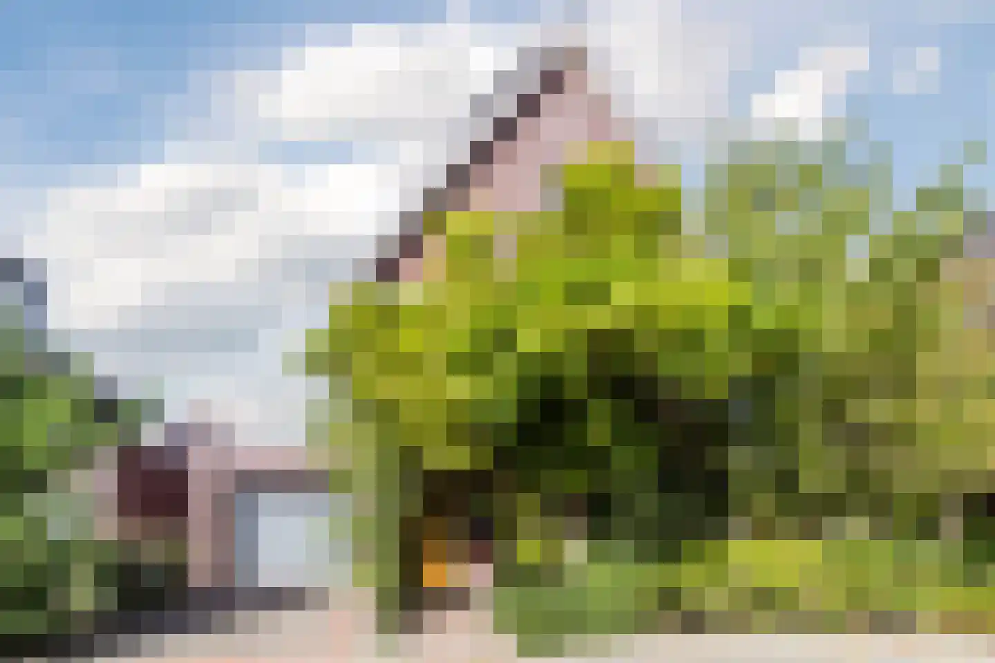 Lepelaar 15 Sassenheim thumbnail 70