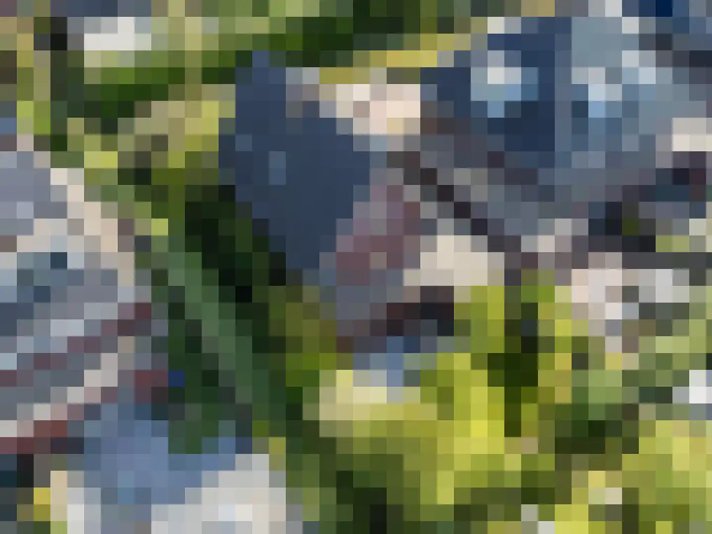 Lepelaar 15 Sassenheim thumbnail 71