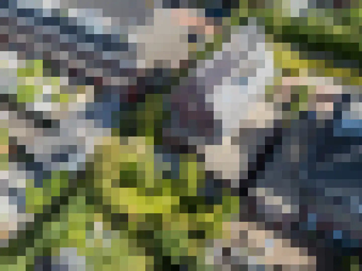 Lepelaar 15 Sassenheim thumbnail 72
