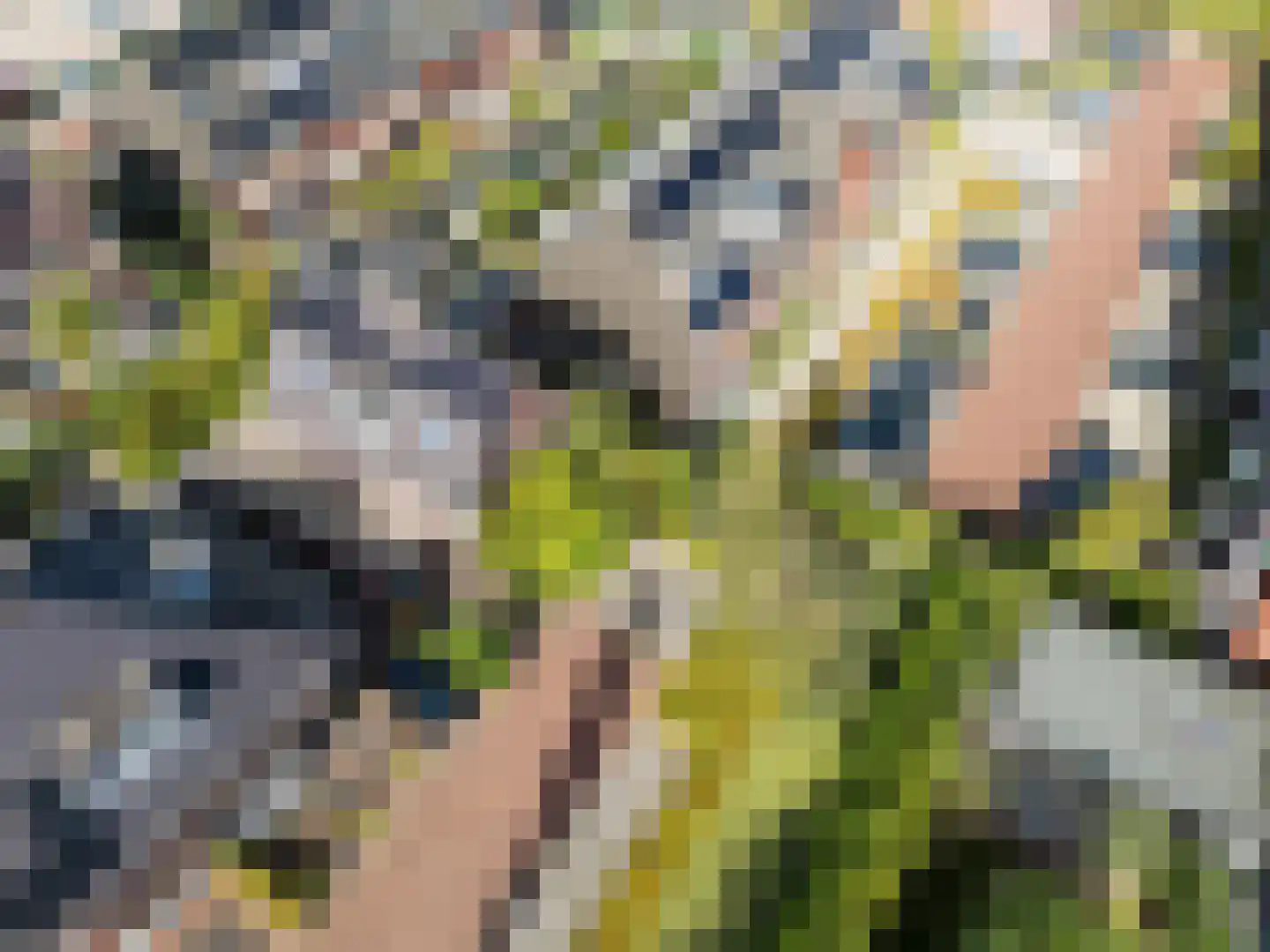 Lepelaar 15 Sassenheim thumbnail 78