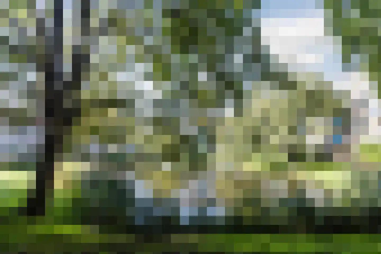 Lepelaar 15 Sassenheim thumbnail 79