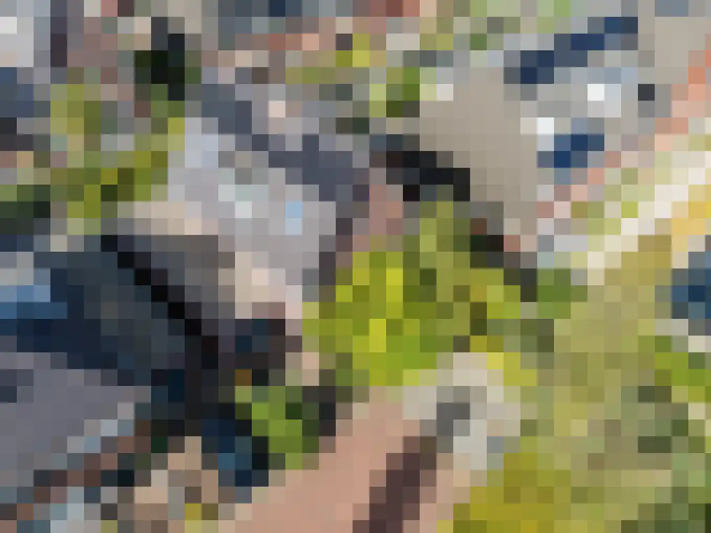 Lepelaar 15 Sassenheim thumbnail 80