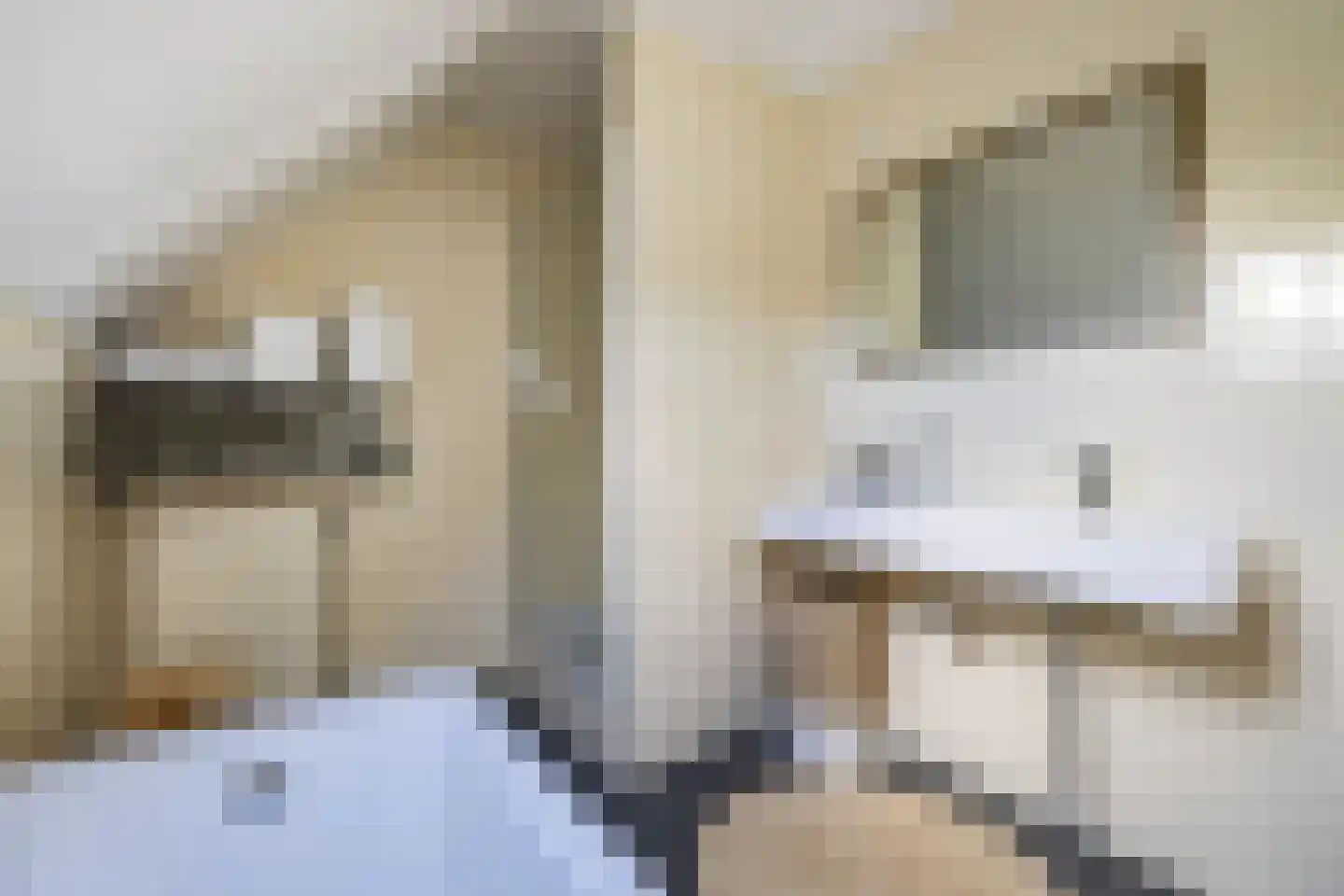 Lepelaar 17 Groningen thumbnail 29