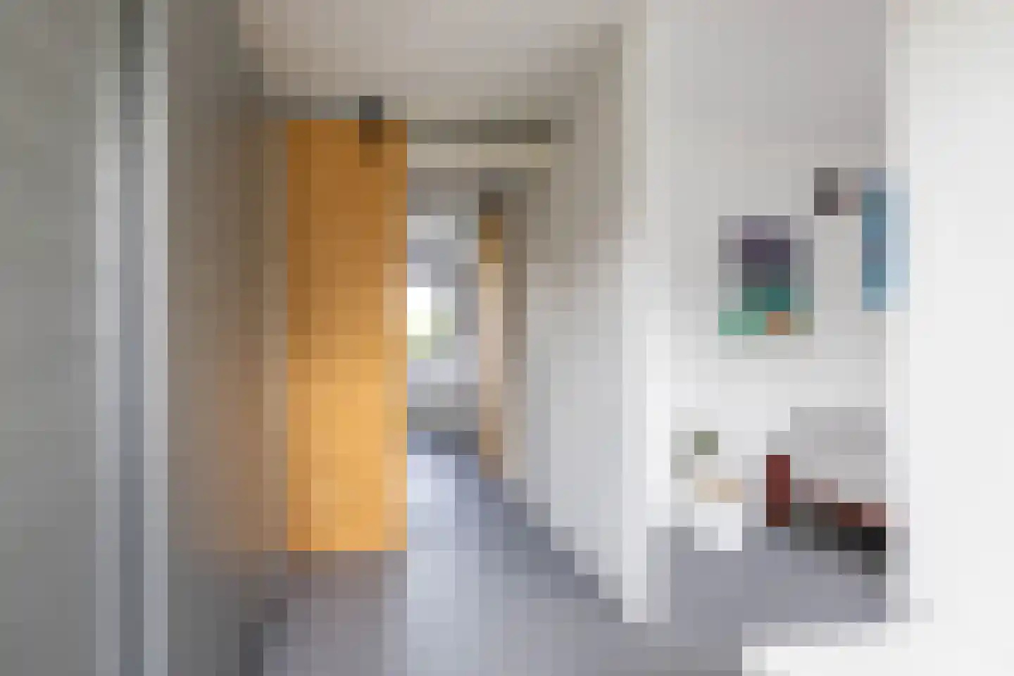 Lepelaar 17 Groningen thumbnail 37