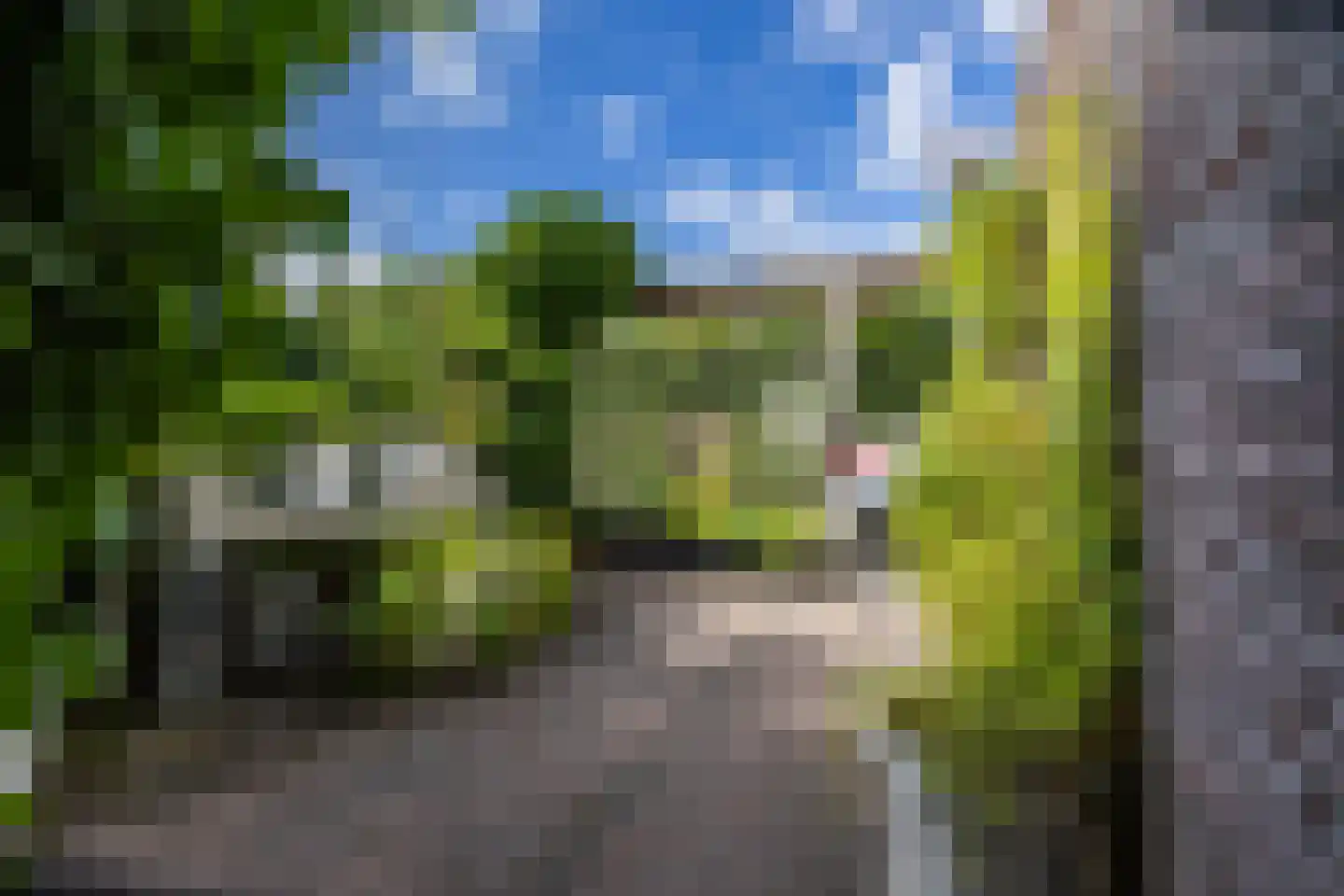 Lepelaar 17 Groningen thumbnail 4