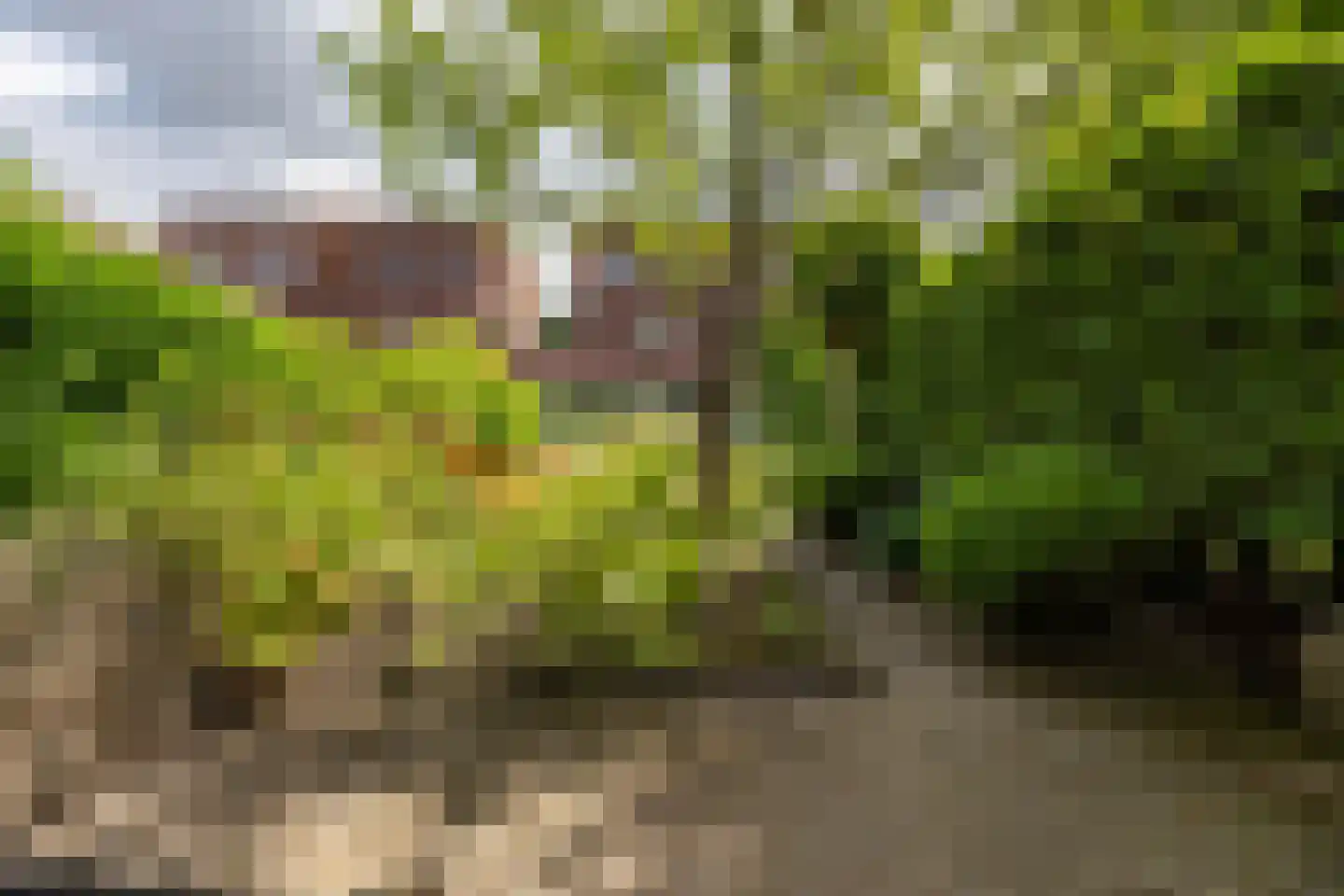Lepelaar 17 Groningen thumbnail 5