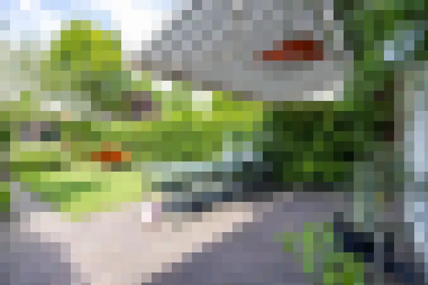 Lepelaar 17 Groningen thumbnail 7