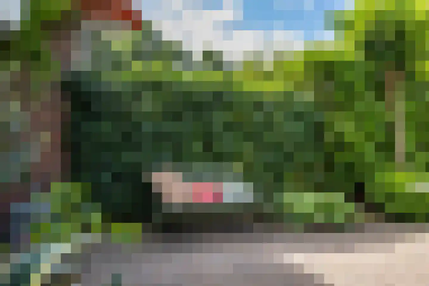 Lepelaar 17 Groningen thumbnail 8