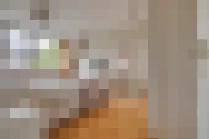Lepelaar 24 Leusden thumbnail 19