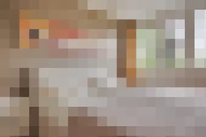 Lepelaar 24 Leusden thumbnail 23