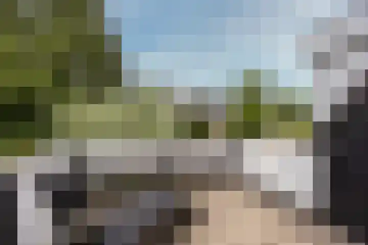 Lepelaar 24 Leusden thumbnail 31
