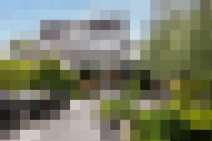 Lepelaar 24 Leusden thumbnail 37