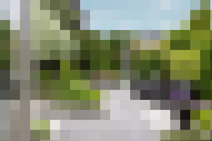 Lepelaar 24 Leusden thumbnail 38