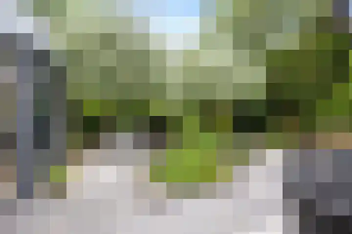 Lepelaar 24 Leusden thumbnail 39